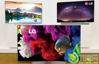 LG展示webOS 2.0系统4K OLED智能电视 画质革命新标杆